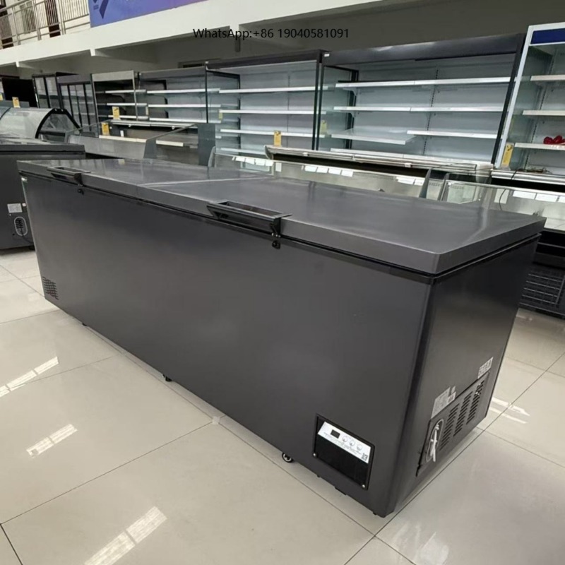 Kommerzieller Doppeltür-Gefrie – Commercial Chest Freezer Bewertung und Preis